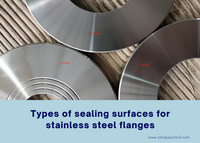 //iqrorwxhikkmlr5q-static.micyjz.com/cloud/lpBpjKlqlnSRokmkroipiq/Types-of-sealing-surfaces-for-stainless-steel-flanges.png