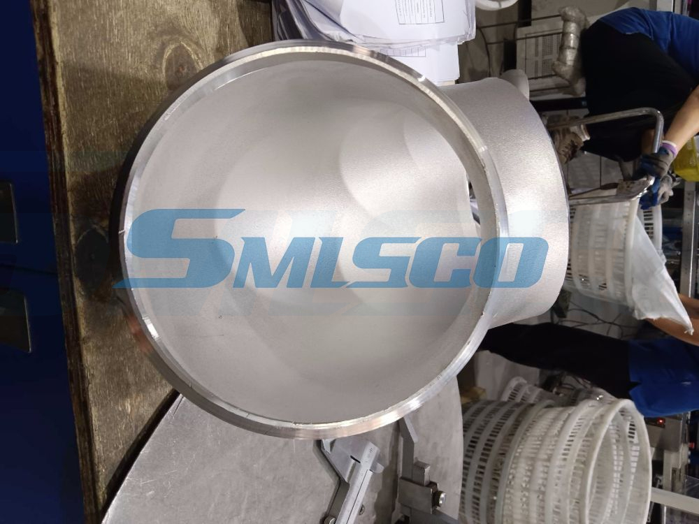 Encaixe de tubo de aço inoxidável da solda de extremidade do tampão de extremidade de ASTM A403 WP304L 316L/Ti