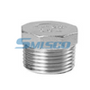 ASTM CF8M 304 NPT Fluging Casting encantamento para sistemas de abastecimento de água residenciais